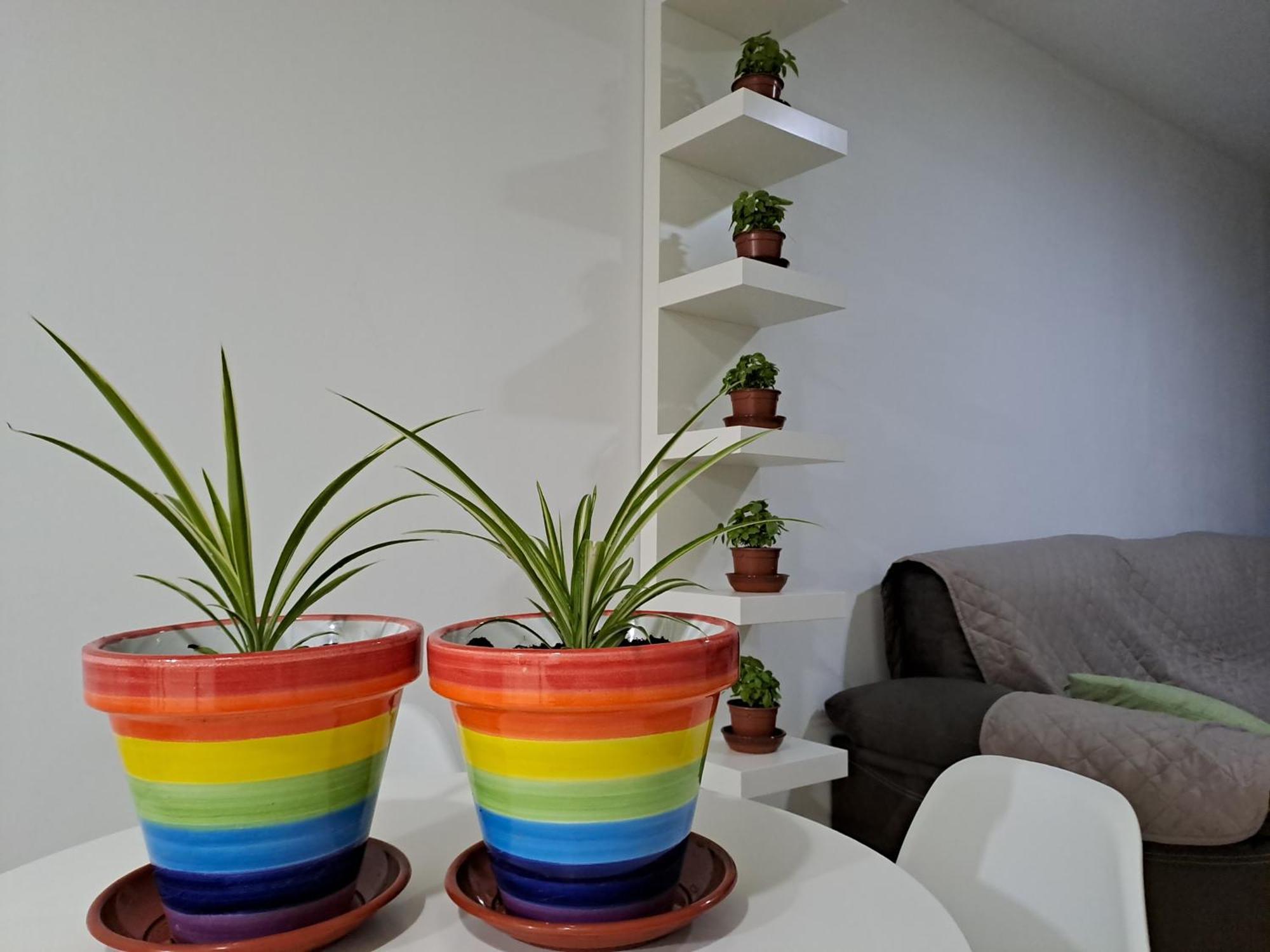 Appartement Apartamento Toyo, Parque Natural Cabo De Gata à Almería Extérieur photo